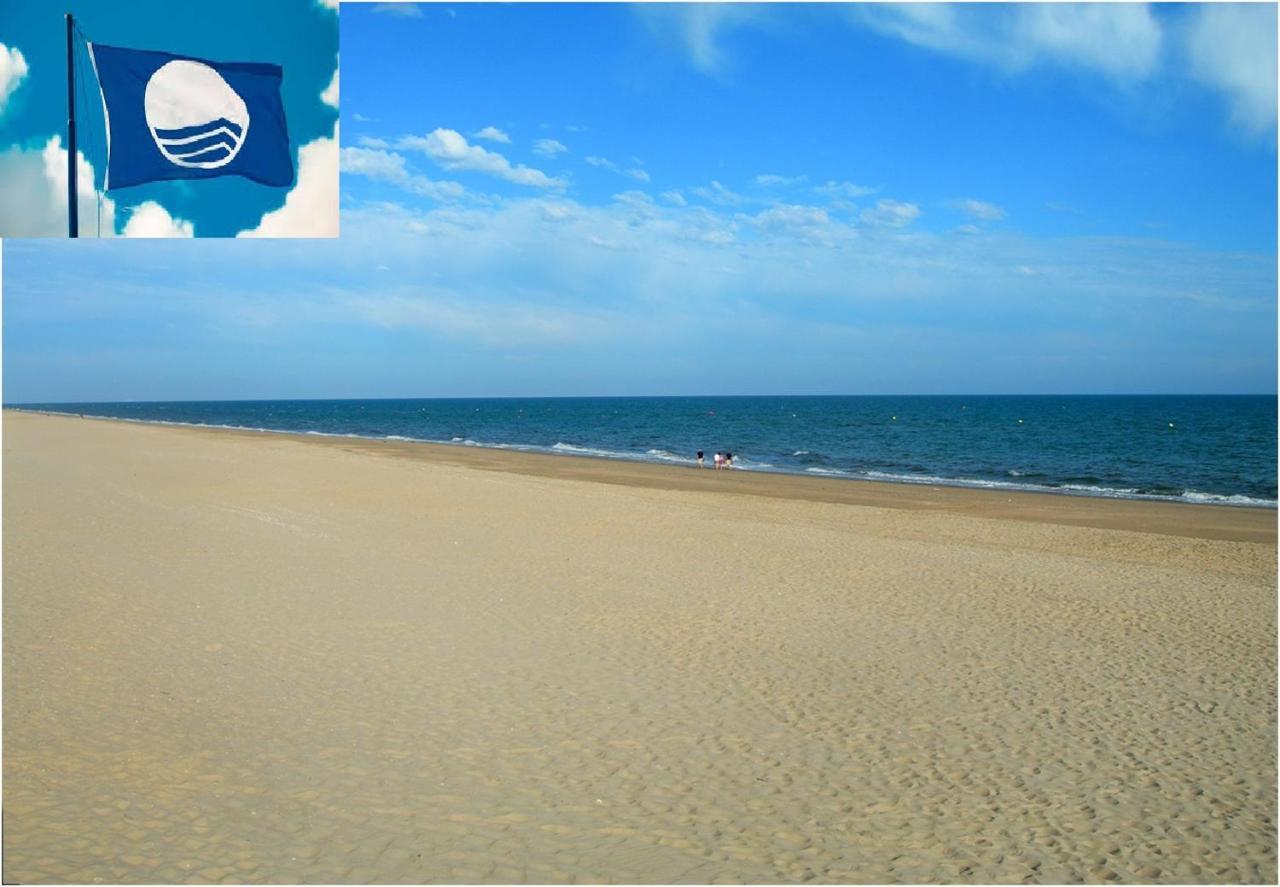 Apartamento Cerca Del Mar Oliva Exterior foto